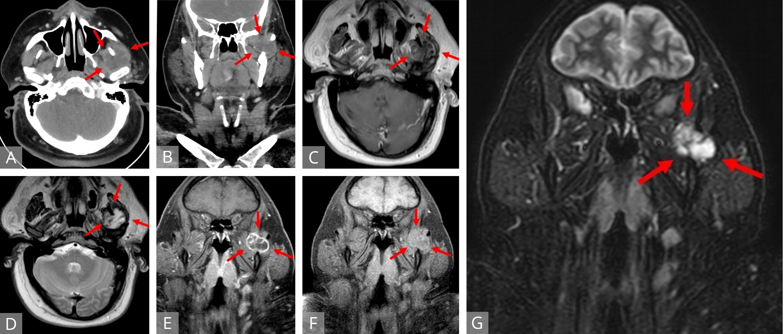 Figure 1.jpg